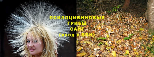 кокс Арсеньев
