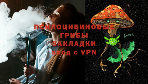 apvp Армянск