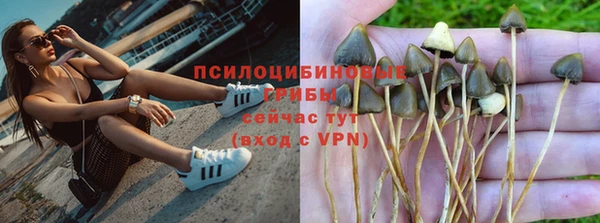 apvp Армянск